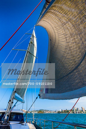 Sail blowing in the wind of sailboat on the Sydney Harbour in Sydney, New South Wales, Australia