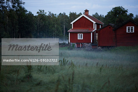 Brown houses and foggy field at dawn