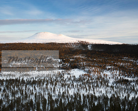 Forest and mountain during winter in Dalarna, Sweden