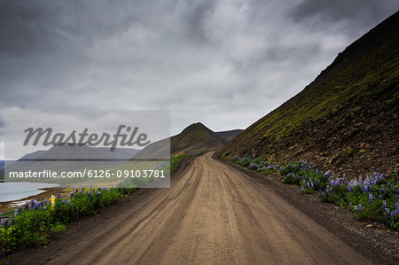 A dirt road in Iceland