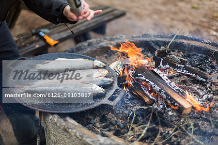 Cooking fish over a campfire