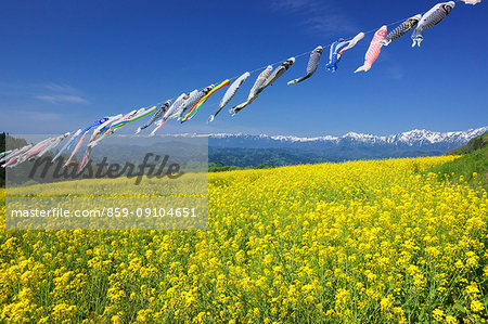 Nagano Prefecture, Japan