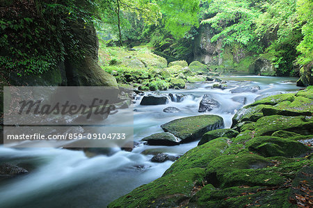 Kagoshima Prefecture, Japan