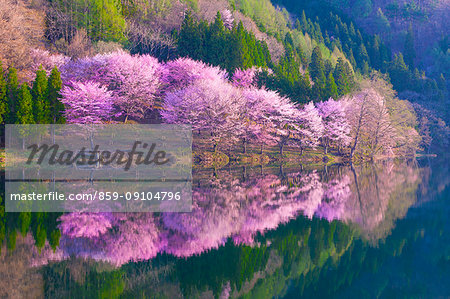 Nagano Prefecture, Japan