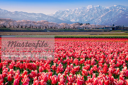 Toyama Prefecture, Japan