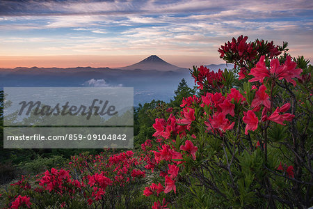 Beautiful view of Mount Fuji