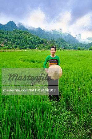Local White Tai indigenous woman in traditional clothing standing in rice fields, Mai Chau, Hoa Binh, Vietnam, Indochina, Southeast Asia, Asia