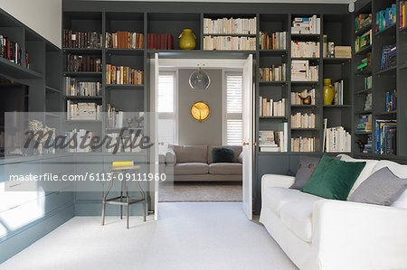 Luxury home showcase library