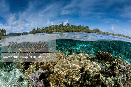 Over/under of the seabed between two small islands near Taha'a,  in French Polynesia. Fast flowing water nourishes the coral.