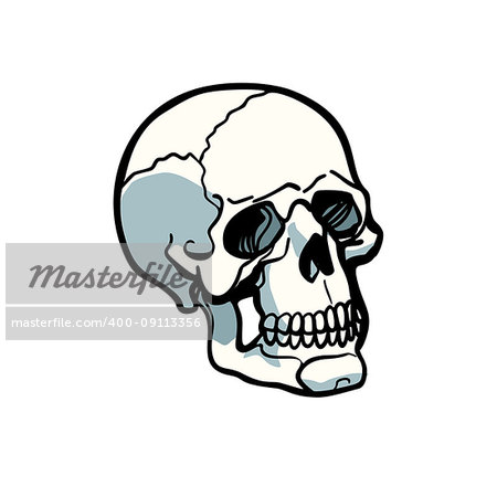 human skull isolated on white background. Comic book cartoon pop art retro illustration vector