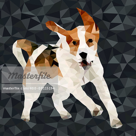 Vector polygonal dogs silhouettes. Set of poly dog play and have fun outdoors