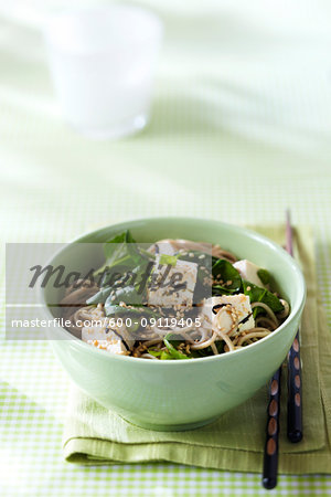 Soba noodles with tofu, spinach, sesame seeds and green onions in a green bowl with chopsticks