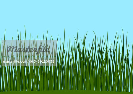Seamless Horizontal Background, Nature, Landscape with Fresh Green Grass and Blue Sky, Tile Pattern for Your Design. Vector