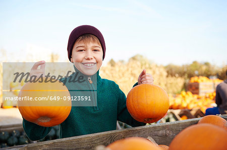 Boy holding harvested pumpkins in field