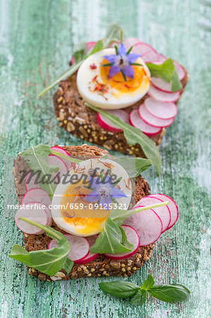 Slices of wholemeal bread topped with radish, egg and borage flowers