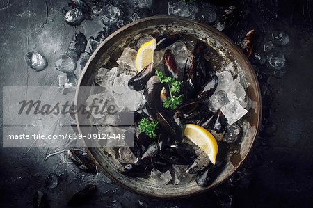 Raw mussels with parsley and lemon on ice