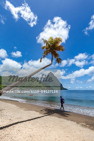 Man walking under a lone palm on the beach at Soufriere with Petit Piton in the distance, St. Lucia, Windward Islands, West Indies Caribbean, Central America