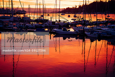 Boats in harbour at sunset, Bainbridge, Washington, USA