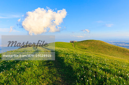 Strange cloud above a footpath on the top of Monte Linzone, Valico di Valcava(Valcava Pass), Val San Martino, Prealpi Bergamasche, Bergamo province, Lombardy, Italy.