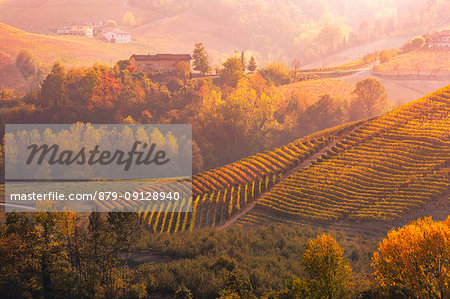 Langhe, Piedmont, Italy. Autumn landscape with vineyards