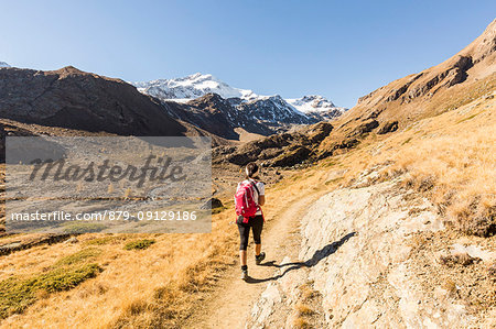 Hiker on footpath with Zufallspitze in the background, Val Martello, Venosta Valley, province of Bolzano, South Tyrol, Italy