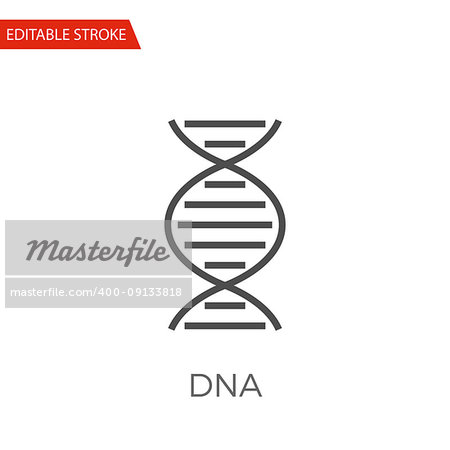 DNA Thin Line Vector Icon. Flat Icon Isolated on the White Background. Editable Stroke EPS file. Vector illustration.