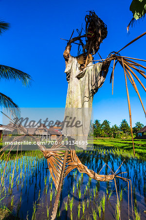 Close-up of a scarecrow in a rice field in Ubud District in Gianyar, Bali, Indonesia