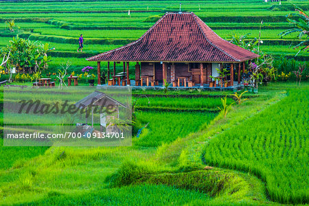 Worker hut and home in rice field in Ubud District in Gianyar, Bali, Indonesia