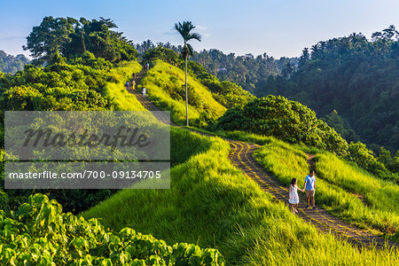 People walking along the path on the scenic Campuhan Ridge Walk near Campuhan in Ubud District in Gianyar, Bali, Indonesia People walking along the path on the scenic Campuhan Ridge Walk near Campuhan in Ubud District in Gianyar, Bali, Indonesia