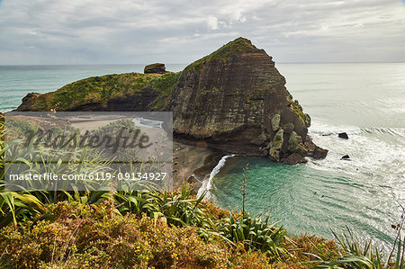 The surfers' paradise and volcanic black sand beach at Piha, showing Lion Rock, a monolith housing many Maori carvings, Auckland area, North Island, New Zealand, Pacific