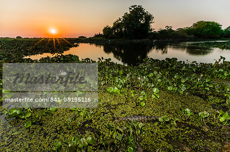 Sunset over water at Pouso Alegre Fazenda, Mato Grosso, Pantanal, Brazil, South America