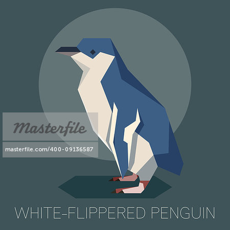 Vector image of the square-angled Flat white-flippered penguin