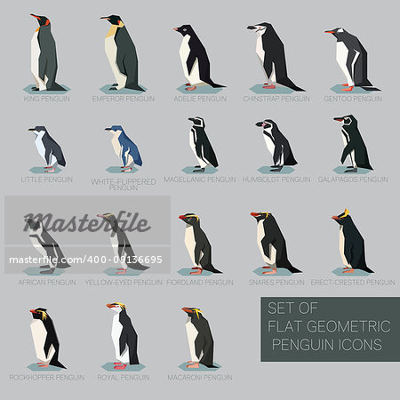 Vector image of the Set of flat geometric species of Penguins