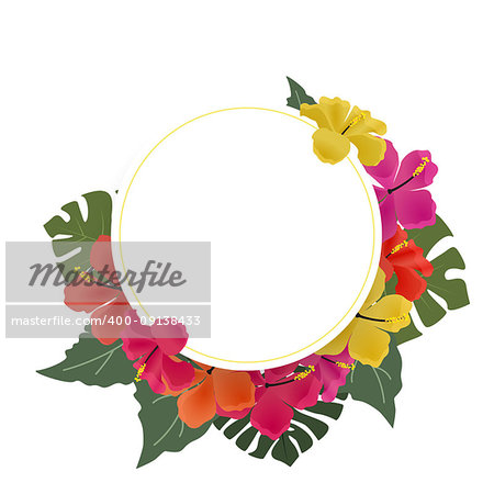 Vector illustration of hibiscus flower. Background with tropical flowers and palm leaves with text frame