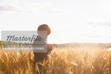 Boy in wheat field examining wheat, Lohja, Finland