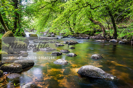 River in Dartmoor, Devon, England, United Kingdom, Europe