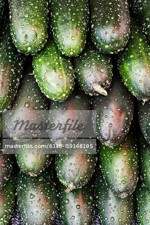 Close up of stack of fresh cucumbers at a fruit and vegetable market.