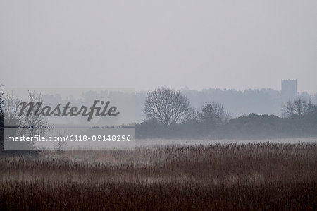 Hazy landscape with reeds and trees and a crenelated tower in the distance.
