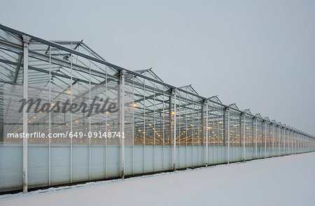 Greenhouse using LED lights, Made, Noord-Brabant, Netherlands