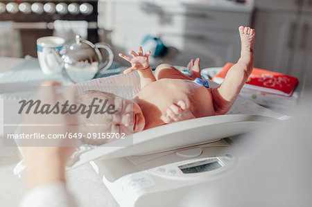 Newborn baby girl being weighed