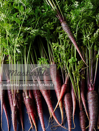 Still life of purple carrots, overhead view