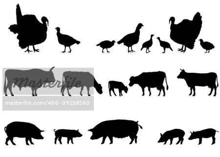 Collection of silhouettes of farm animals - turkeys, cows and pigs