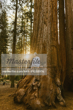 Man standing on sequoia tree, Sequoia National Park, California, USA