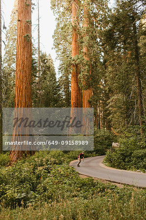 Skateboarder skateboarding on sequoia tree lined road, Sequoia National Park, California, USA