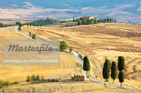 Cypress trees and fields in the afternoon sun at Agriturismo Terrapille (Gladiator Villa) near Pienza in Tuscany, Italy, Europe