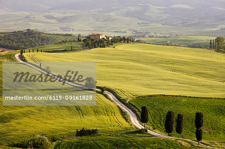 Cypress trees and green fields in the afternoon sun at Agriturismo Terrapille (Gladiator Villa) near Pienza in Tuscany, Italy, Europe Cypress trees and green fields in the afternoon sun at Agriturismo Terrapille (Gladiator Villa) near Pienza in Tuscany, Italy, Europe