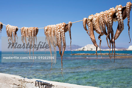 Drying Octopus, Mandrakia, Milos, Cyclades, Aegean Sea, Greek Islands, Greece, Europe