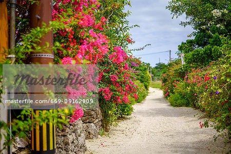 Taketomi Island, Okinawa Prefecture, Japan Taketomi Island, Okinawa Prefecture, Japan