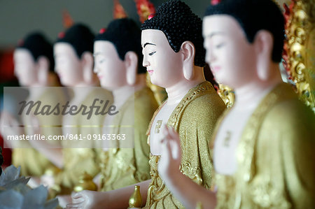 Row of Buddha statues, Hoi Tuong Te Nguoi Hoa Buddhist Chinese temple, Phu Quoc, Vietnam, Indochina, Southeast Asia, Asia