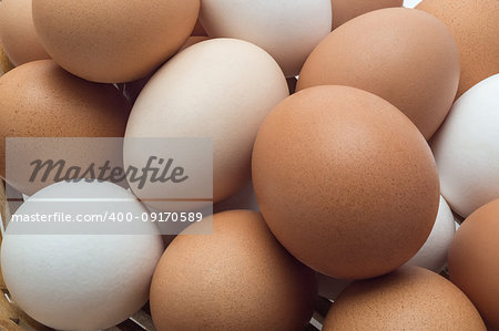 Chicken eggs in different colors shades close-up as background
